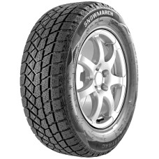 Шины зимние 245/55/R19 Powertrac Snowmarch 107H XL